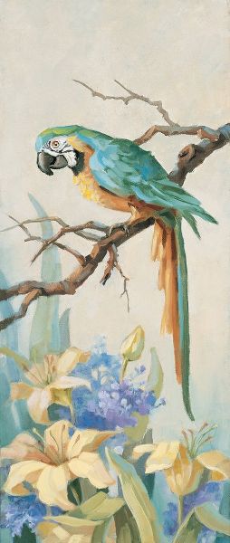 Unknown 아티스트의 Parrot Looking Down작품입니다.